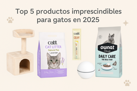 👉 Top 5 productos imprescindibles para gatos en 2025