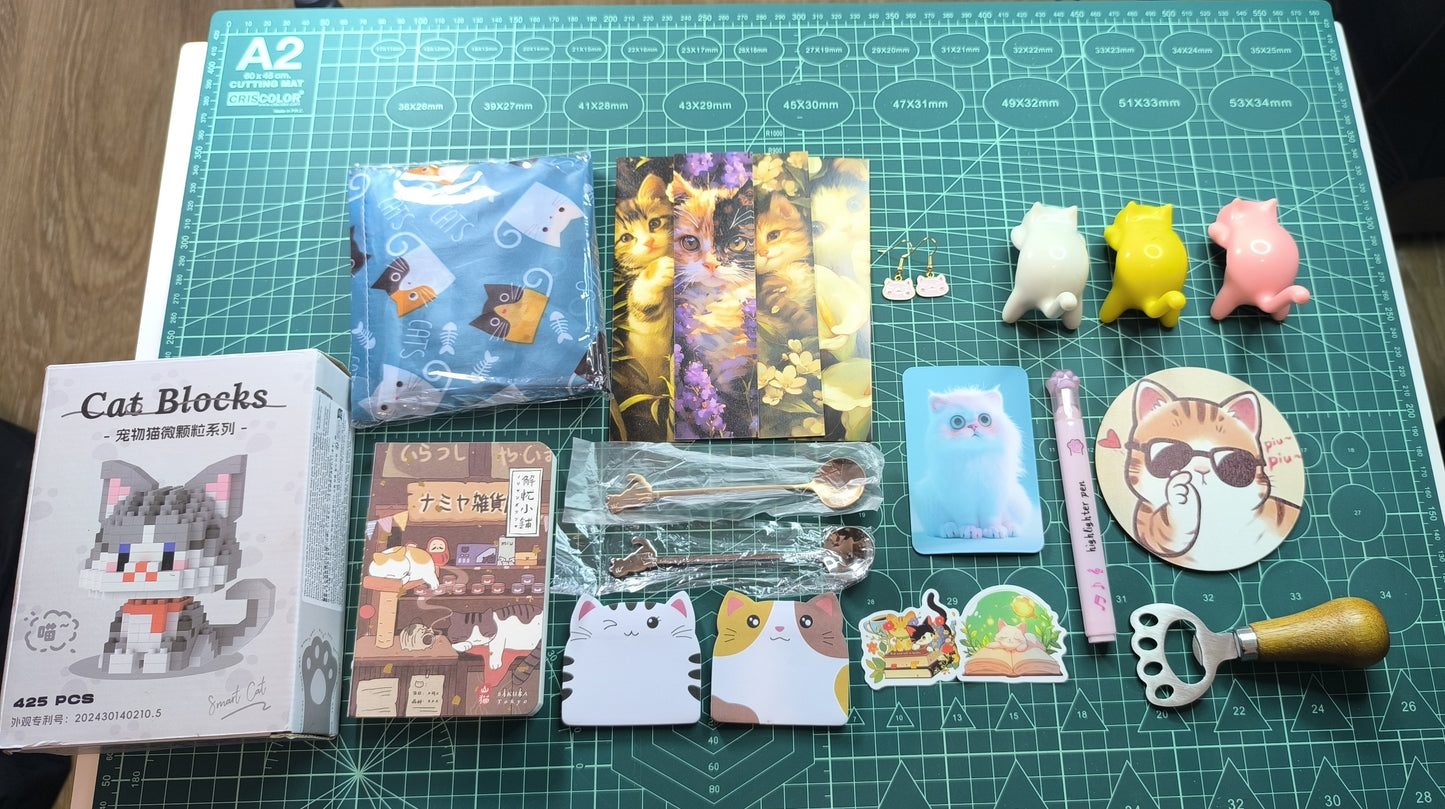 🐱 MYSTERY BOX Gatitos Kawaii