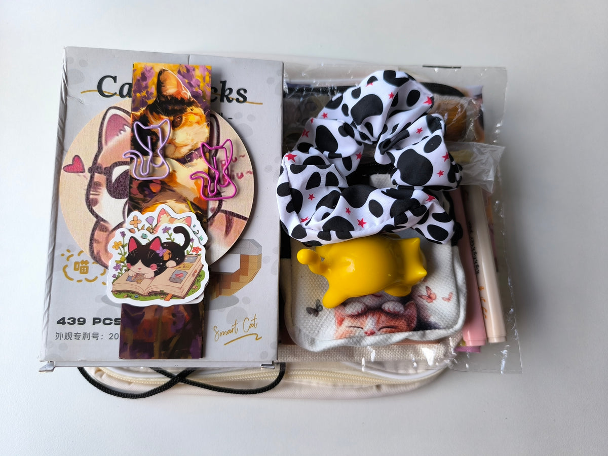 🐱 MYSTERY BOX Kawaii Cats